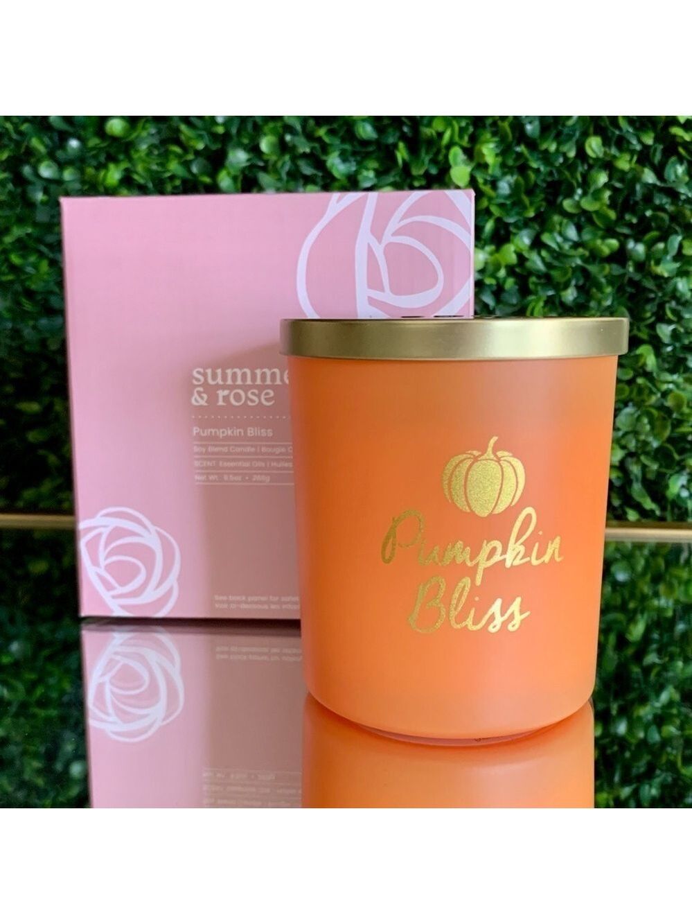🍂 Summer & Rose PUMPKIN BLISS Soy Candle | NEW | Fall Winter Pumpkin Scent
